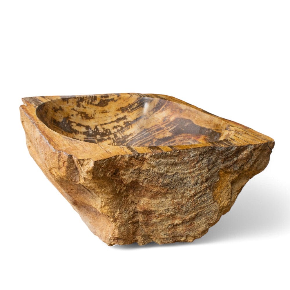 Paden Petrified Wood Vessel Sink - Brown Interior