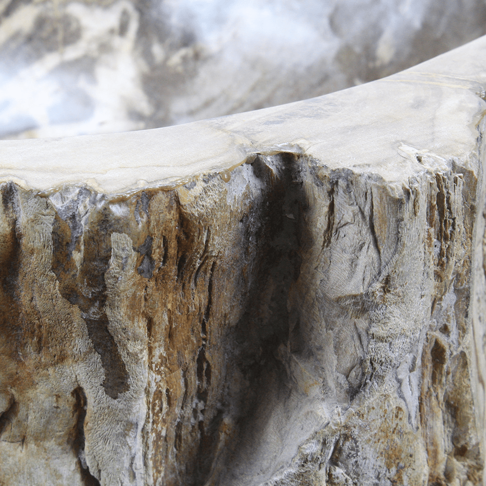 Ramona Petrified Wood Vessel Sink - Black Interior