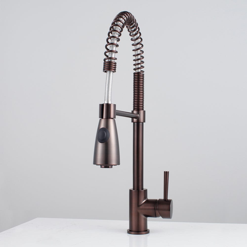 Winshaw Pull-Down Kitchen Faucet with Spring Spout