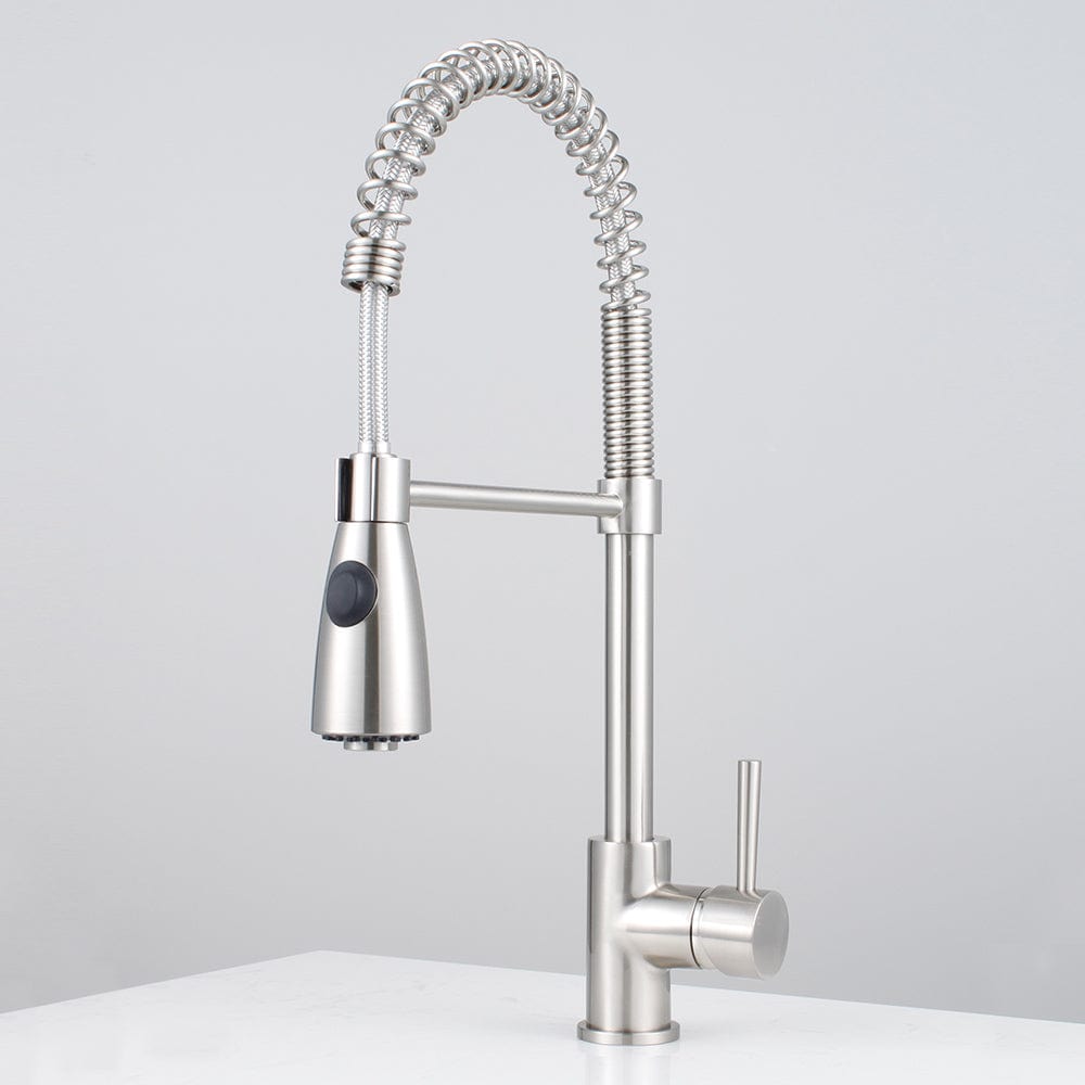 Winshaw Pull-Down Kitchen Faucet with Spring Spout