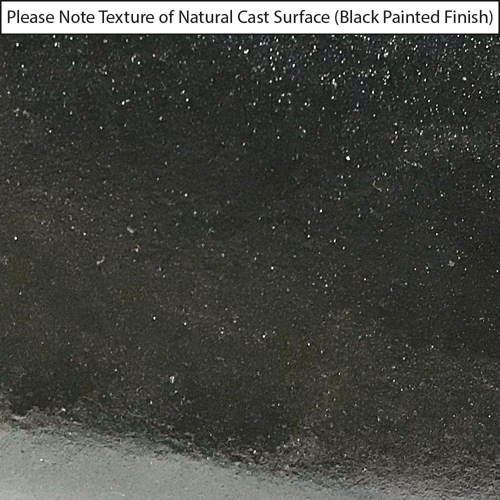 22” Alexane Enameled Cast Iron Wall Mount Bathroom Sink