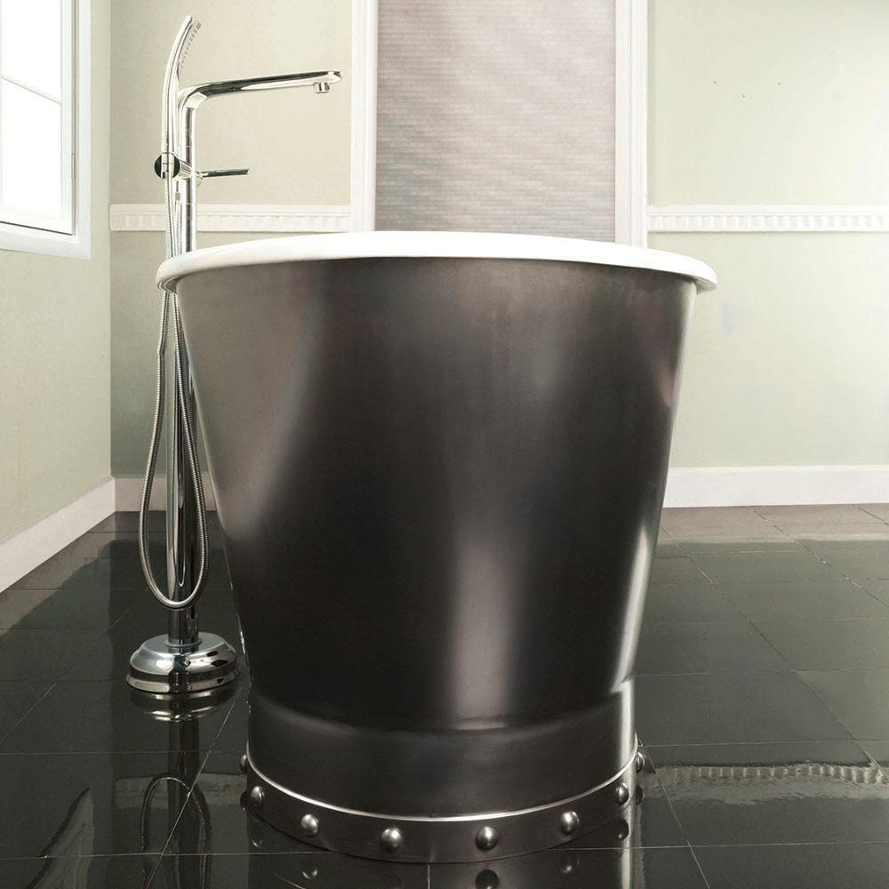 67" Ragley Cast Iron Stainless Steel Skirted Bateau Tub