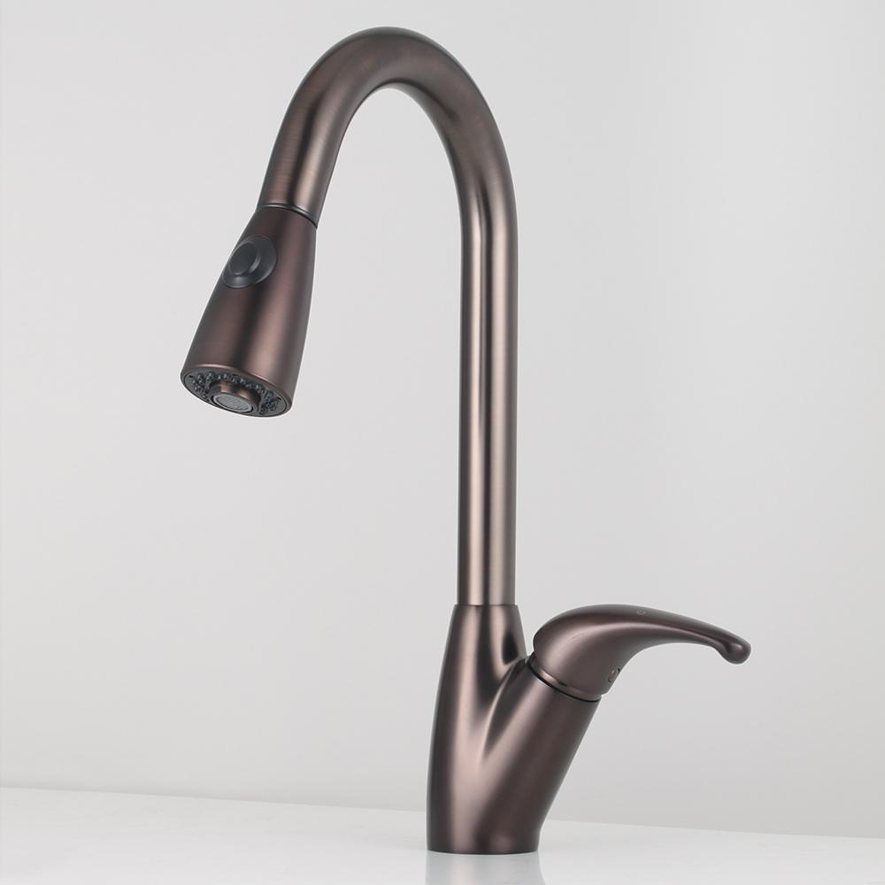 Blakeny Single-Hole Pull-Out Kitchen Faucet