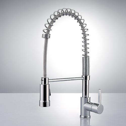 Carlow Kitchen Faucet with Spring Spout
