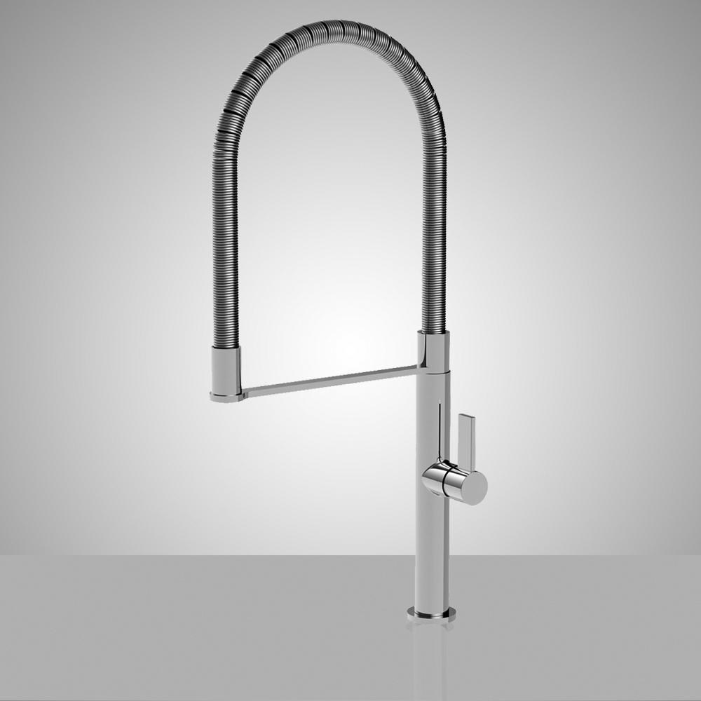 Wynono Kitchen Faucet with Spring Spout