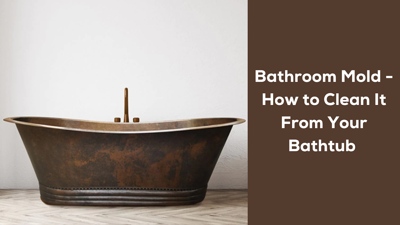Bathroom Mold - How to Clean It From Your Bathtub