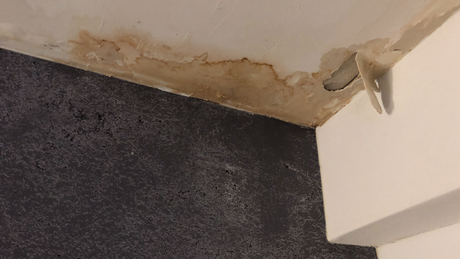 Important Signs of Water Damage That You Should Be Aware of