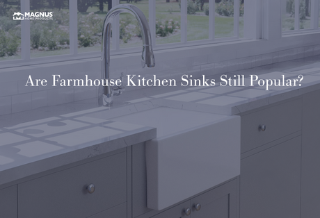 Are Farmhouse Kitchen Sinks Still Popular?