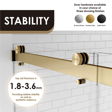 Ava 64" W x 76" H By Pass Frameless Shower Door with Clear Glass