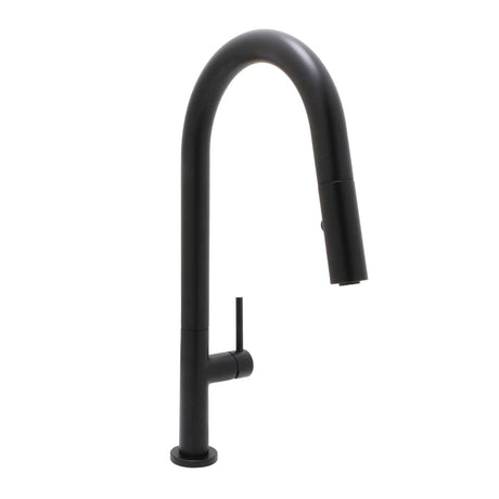 Carter Single Handle Kitchen Faucet with Pull-Down Sprayer