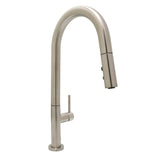 Carter Single Handle Kitchen Faucet with Pull-Down Sprayer