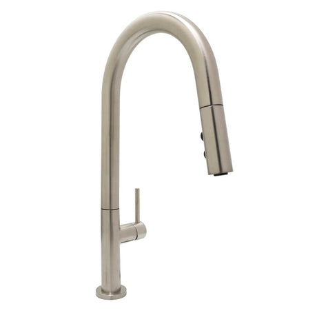 Carter Single Handle Kitchen Faucet with Pull-Down Sprayer