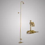 Code-Compliant Faucet with Riser and Shower Head