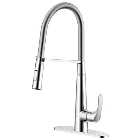 Conner Single Handle Pull-Down Coil Kitchen Faucet