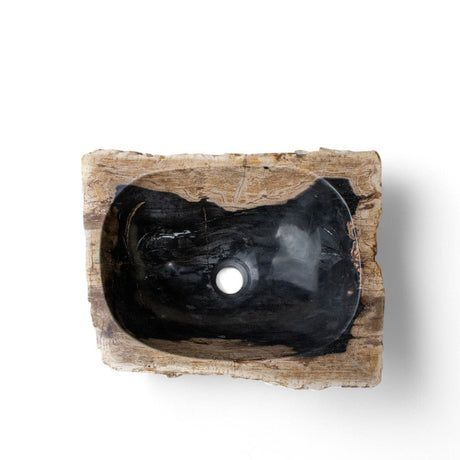 Paden Petrified Wood Vessel Sink - Black Interior