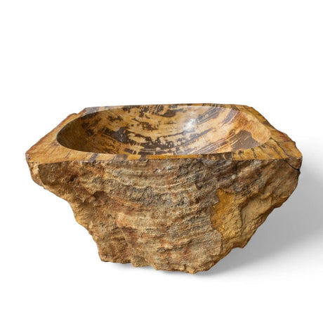 Paden Petrified Wood Vessel Sink - Brown Interior