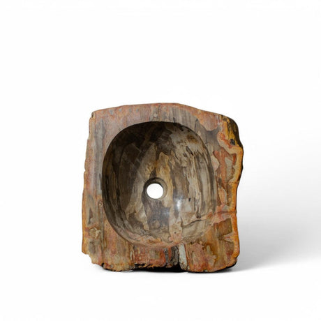 Paden Petrified Wood Vessel Sink - Natural Interior