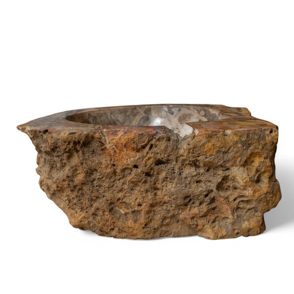 Paden Petrified Wood Vessel Sink - Natural Interior