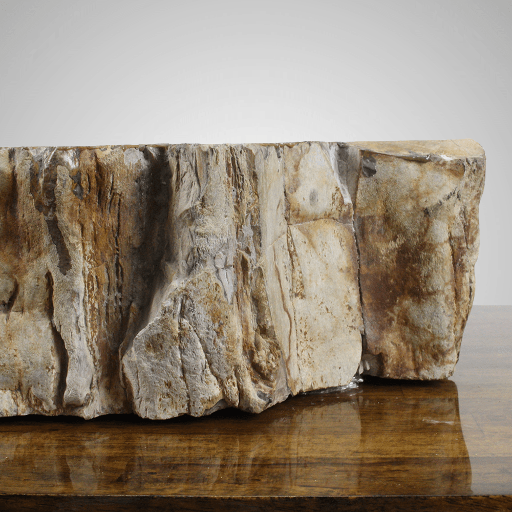 Ramona Petrified Wood Vessel Sink - Black Interior