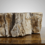 Ramona Petrified Wood Vessel Sink - Black Interior