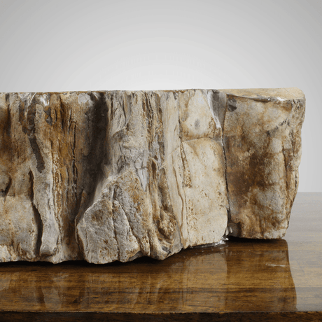 Ramona Petrified Wood Vessel Sink - Black Interior