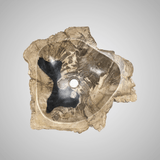 Ramona Petrified Wood Vessel Sink - Black Interior