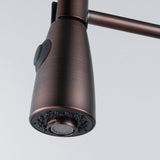 Winshaw Pull-Down Kitchen Faucet with Spring Spout