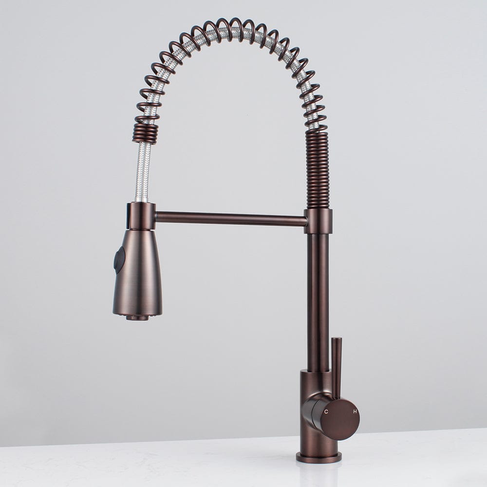 Winshaw Pull-Down Kitchen Faucet with Spring Spout