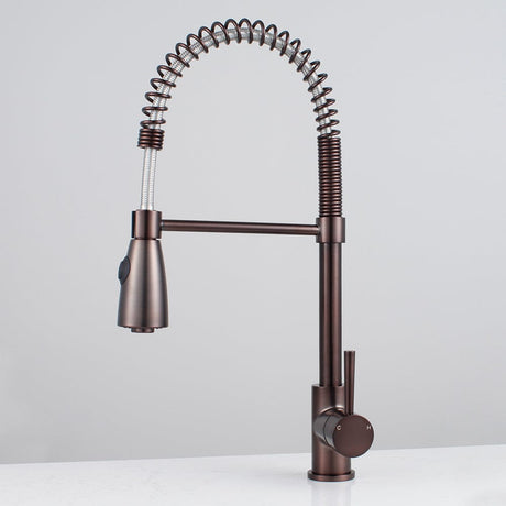 Winshaw Pull-Down Kitchen Faucet with Spring Spout