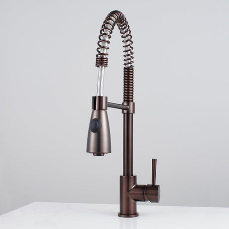 Winshaw Pull-Down Kitchen Faucet with Spring Spout