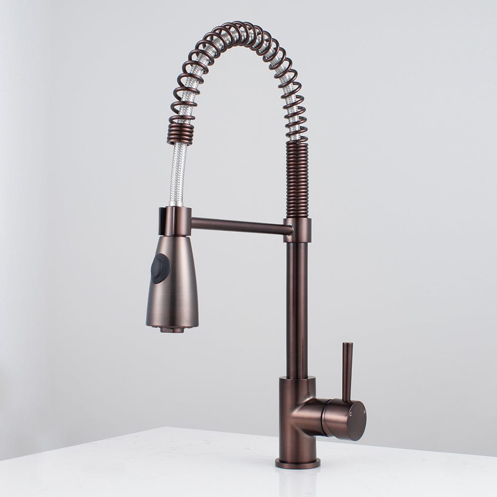 Winshaw Pull-Down Kitchen Faucet with Spring Spout