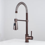 Winshaw Pull-Down Kitchen Faucet with Spring Spout