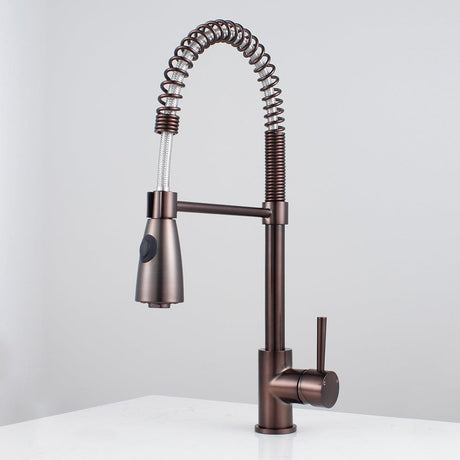 Winshaw Pull-Down Kitchen Faucet with Spring Spout