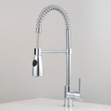 Winshaw Pull-Down Kitchen Faucet with Spring Spout