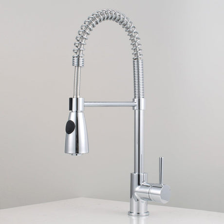 Winshaw Pull-Down Kitchen Faucet with Spring Spout