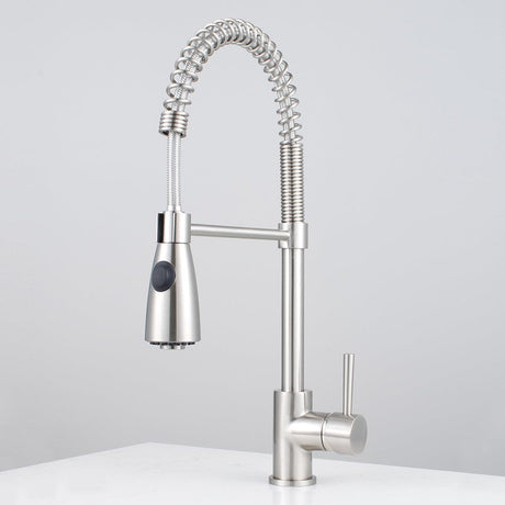 Winshaw Pull-Down Kitchen Faucet with Spring Spout
