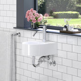 Avasa Vitreous China Wall-Mount Sink