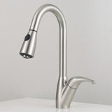 Blakeny Single-Hole Pull-Out Kitchen Faucet