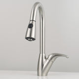 Blakeny Single-Hole Pull-Out Kitchen Faucet