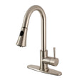 Bruno Single-Handle Pull-Down Kitchen Faucet