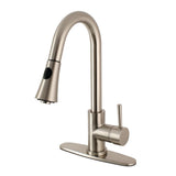 Bruno Single-Handle Pull-Down Kitchen Faucet