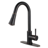 Bruno Single-Handle Pull-Down Kitchen Faucet