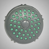 Classic Shower Head