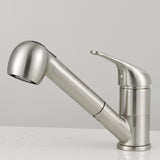 Davison Single-Hole Pull-Out Kitchen Faucet