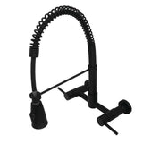 Esteban 2-Handle Wall Mount Pull-Down Kitchen Faucet