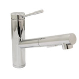 Hadley Single Handle Kitchen Faucet with Pull-Out Sprayer