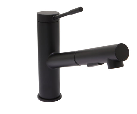 Hadley Single Handle Kitchen Faucet with Pull-Out Sprayer