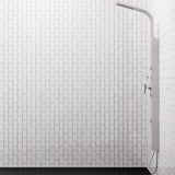 Jedida Pressure Balance Stainless Steel Shower Panel with Hand Shower - Brushed Finish