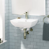Jesup 200 Vitreous China Wall-Mount Sink
