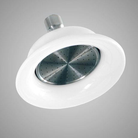 Sunflower Shower Head